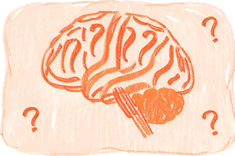 An orange pencil drawing of a human brain with 3 question marks around it