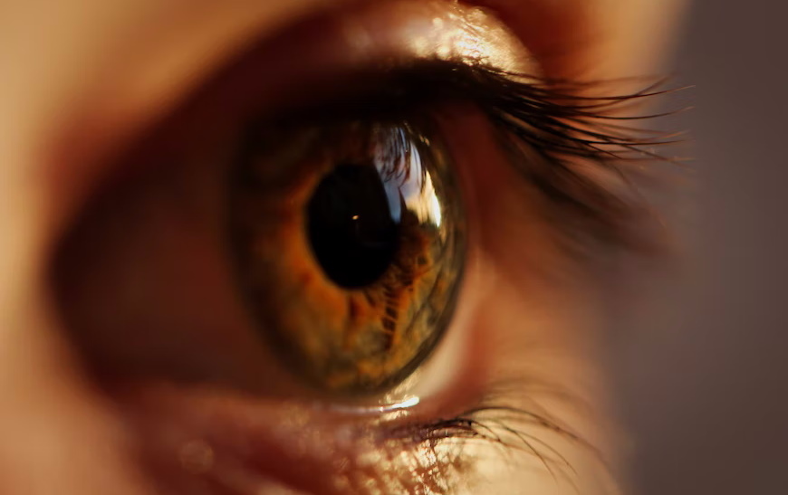 Close up of an open human eye